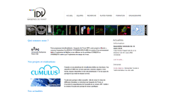 Desktop Screenshot of idv.parisdescartes.fr